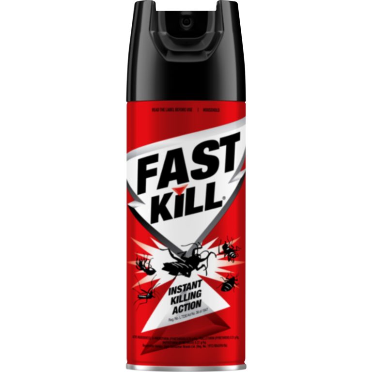 2938 - FAST KILL AEROSOL - REGULAR 300ML