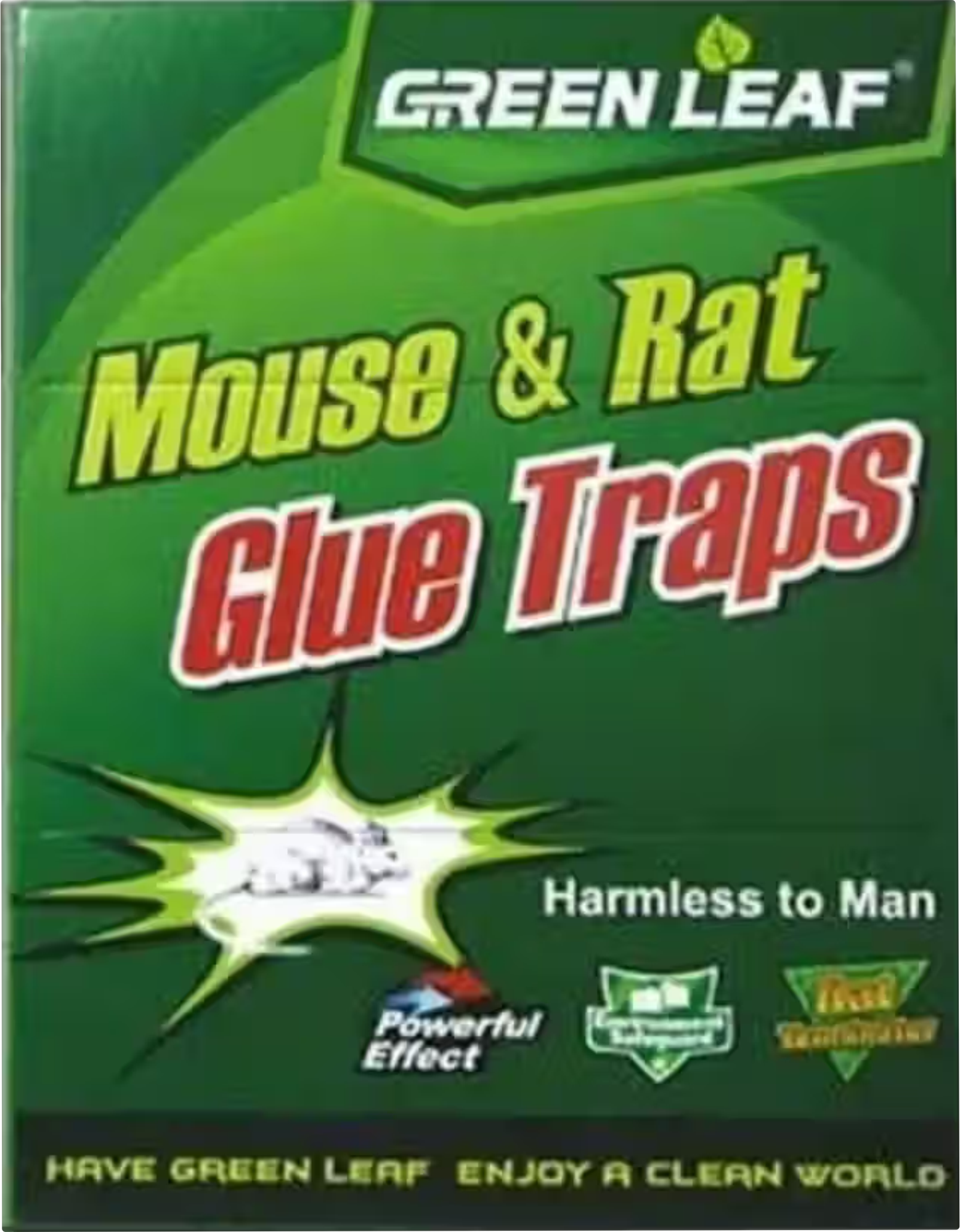 Fz Mouse & Rat Glue Board